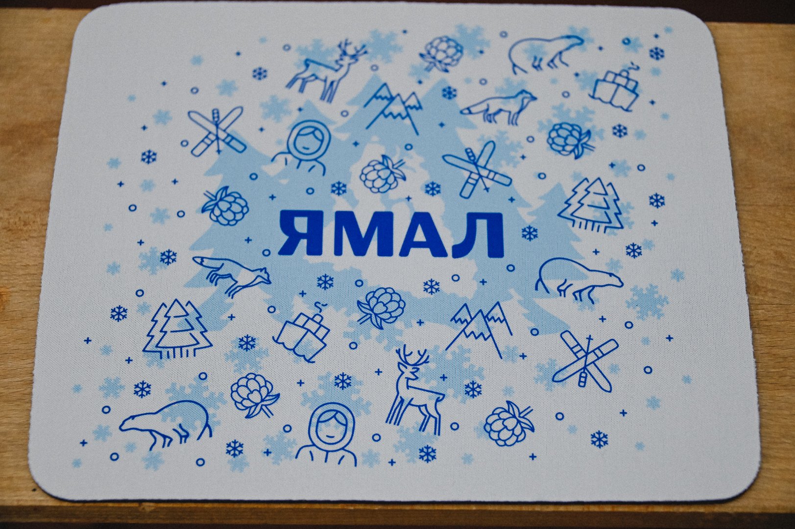 Коврик для мыши 20х24 см PE